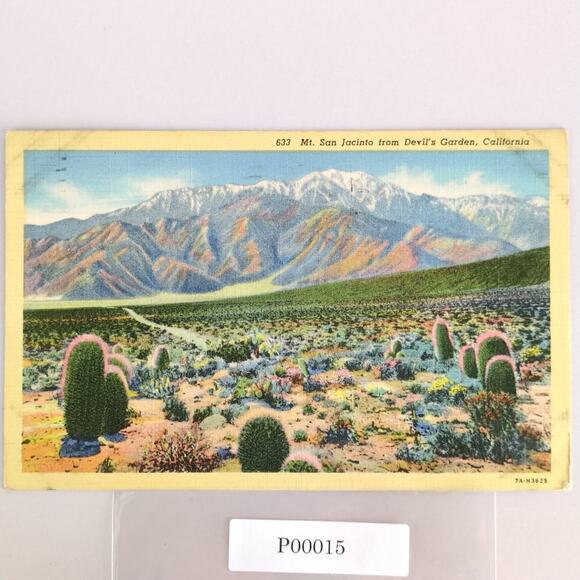 Vintage 1943 Linen Postcard Mt San Jacinto from Devil's Garden California Cactus - Picture 1 of 2